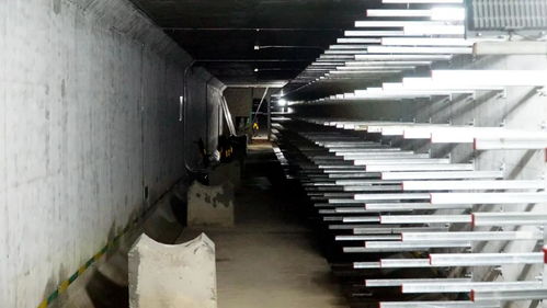 打造城市“生命線”，東海岸新城綜合管廊全面啟動(dòng)機(jī)電設(shè)備安裝